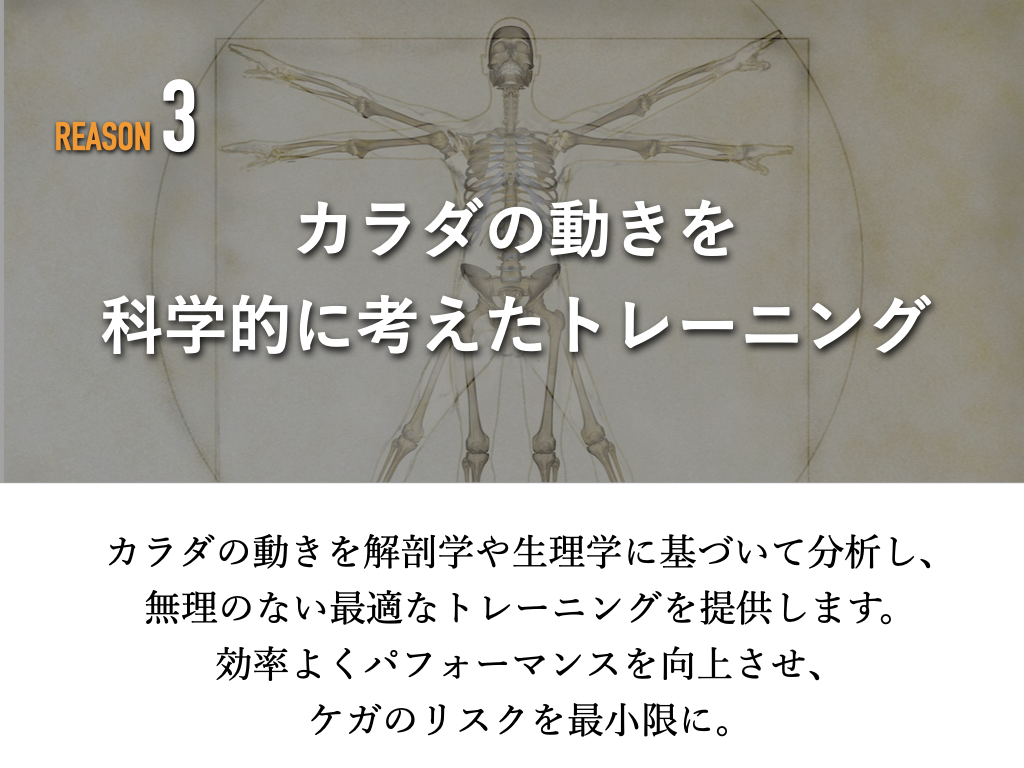 太田市のパーソナルトレーニング
コンフォートの特徴
3.理学療法士が解剖学や生理学に基づき分析